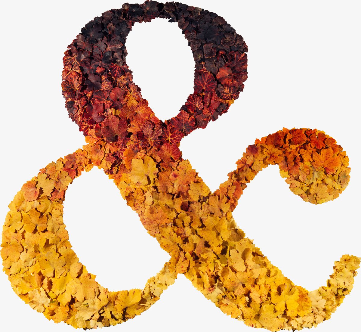 Napa & Sonoma Relief